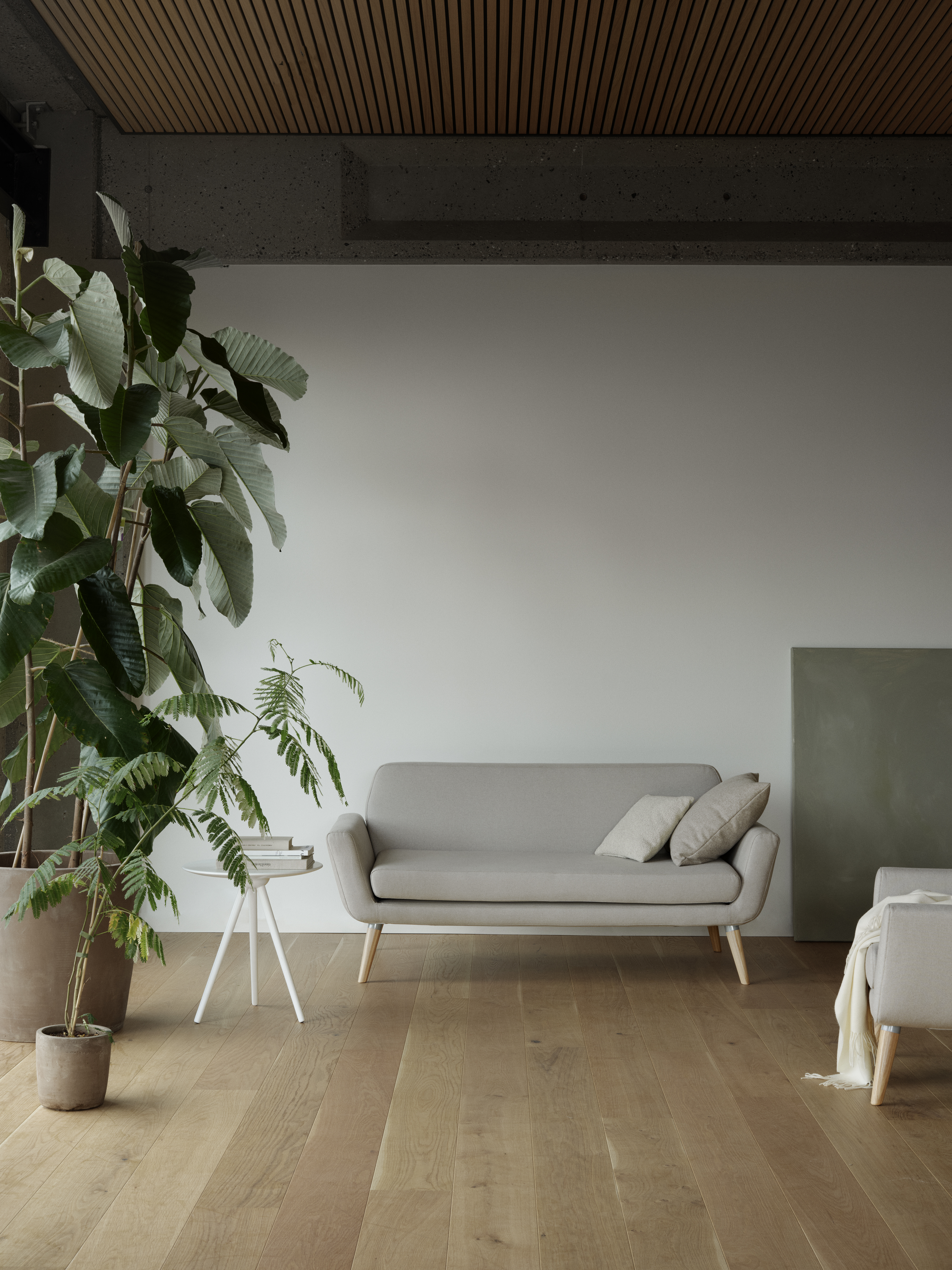 scope-softline-09